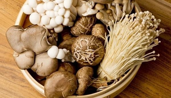 Nấm khiến vết thương sau nâng mũi dễ chảy dịch